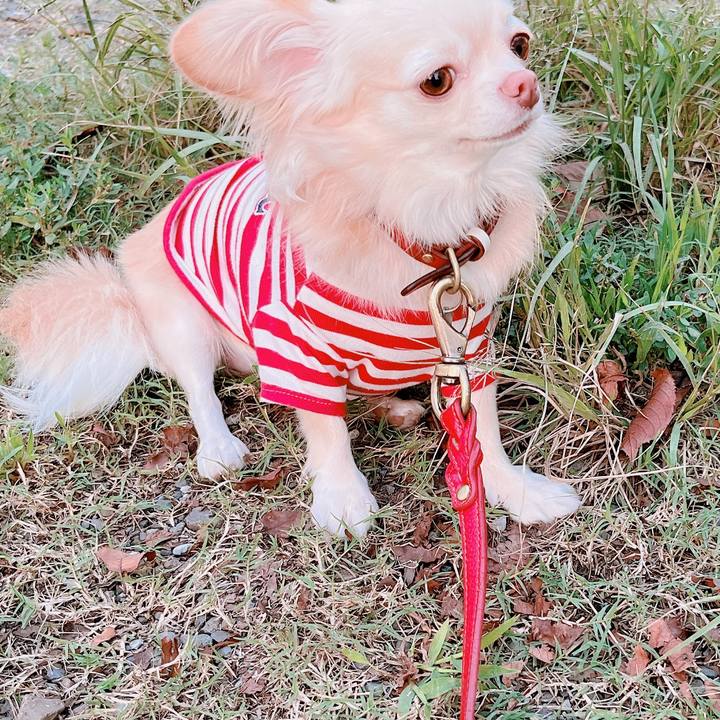 274a37d4 d4d9 4d38 98ea 3a78048cf9d7 1664268966778