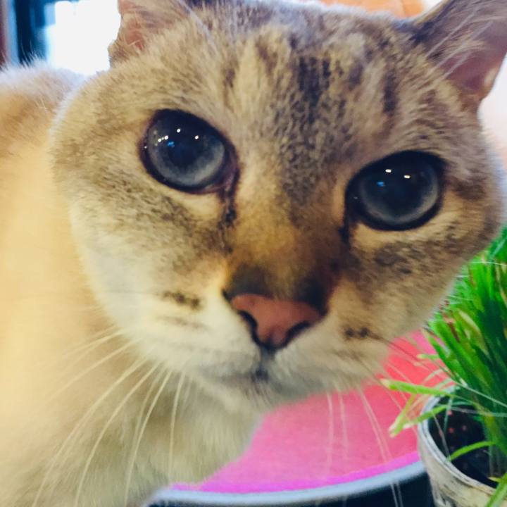 274a3819 bf92 4991 bc39 67216d7ff00f 1588413624406