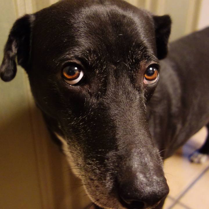 274a46e8 2989 402d 914e 896e84a3aabf 1715684191186