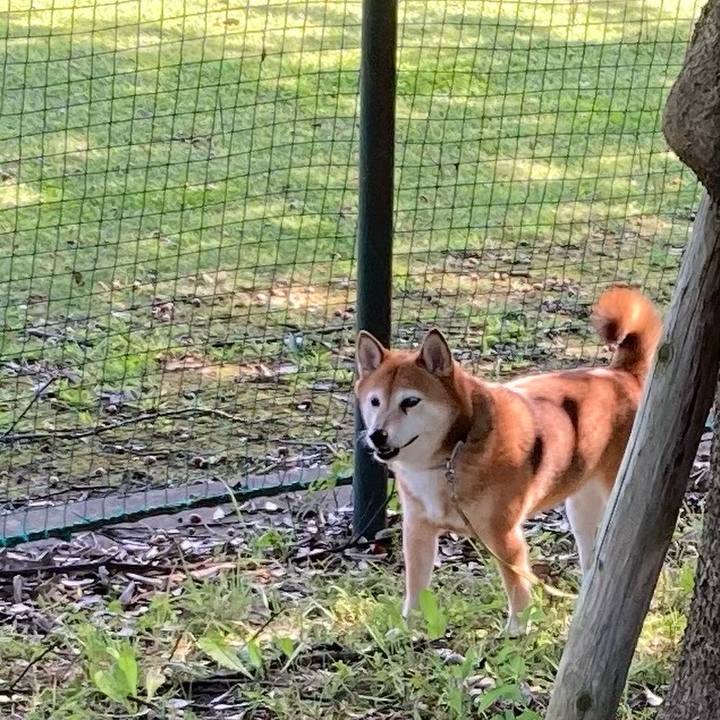 274a5104 6909 4ce3 86ca 127909ab7295 1633735052935