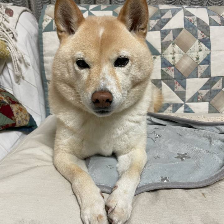 274a7542 a9b9 45fa 8a29 f3be12fc7f70 1734994154268