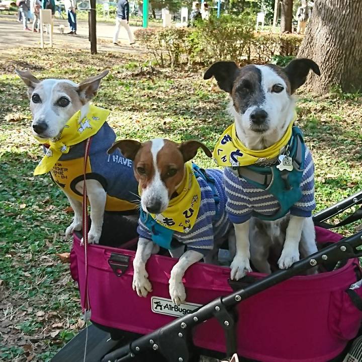 274a7a5a 401d 4f97 8d8b cfb15b8ec1b3 1606533951883