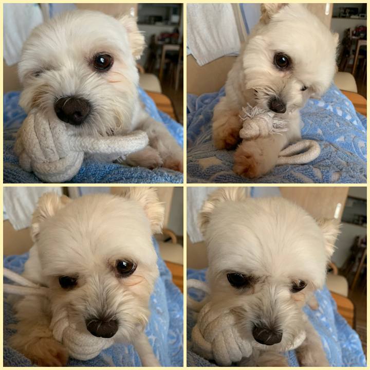 274ab7f0 c2d0 452f b52c 3fb07459d39d 1596950567178