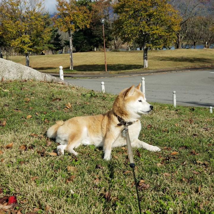 274ad90a 282b 4262 8284 be8b17b23a35 1699935690294