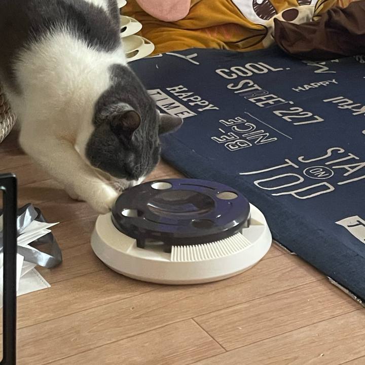 274ae808 e0cf 4321 8dfa 1870e92b8b21 1734825367822