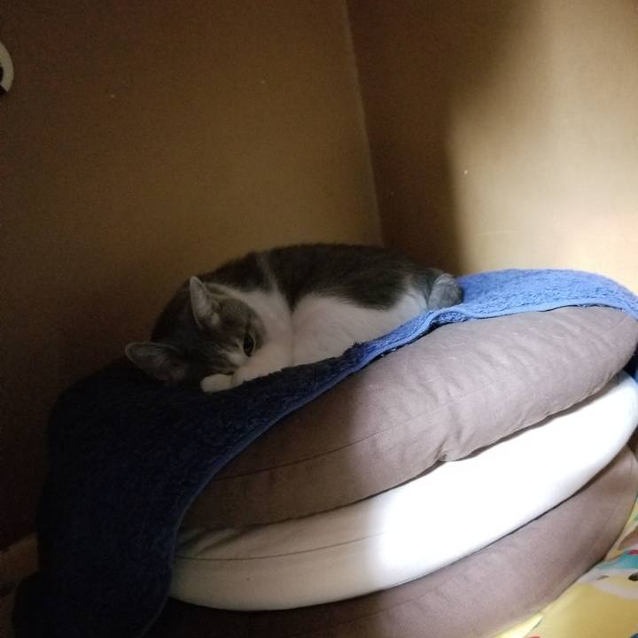 274af12a 35ab 45f1 b113 a4d7e2f86f07 1675519472897