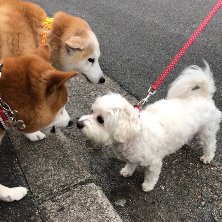 274af5b0 e644 435e a7bd 2ff88636b1a8 1550854637747