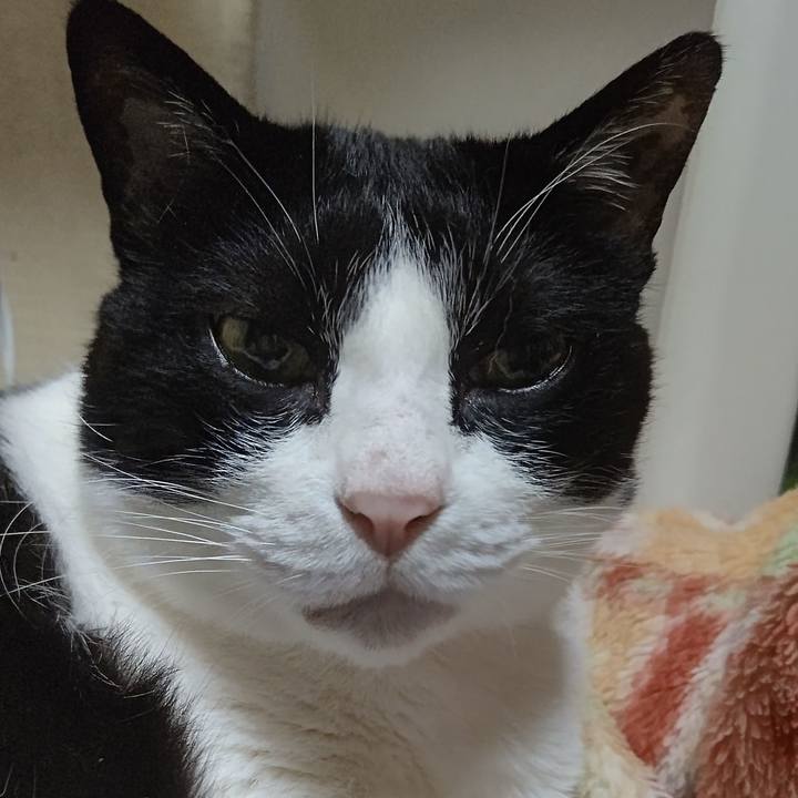 274b3235 8268 43d3 b7bf 8b9f99ea2678 1622362438743