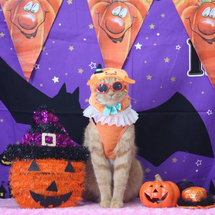 274b38f7 fedb 4b50 8dd9 d0ca6b396071 1666228158467