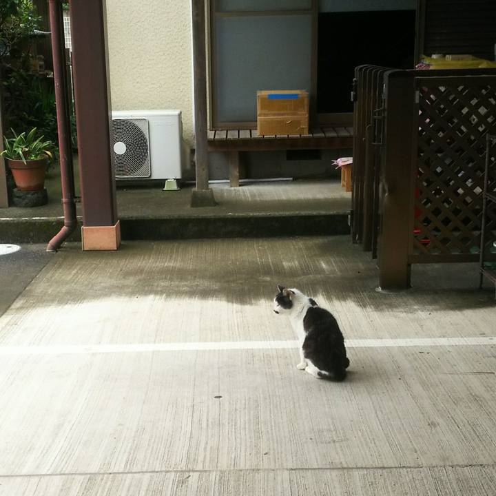 274b4620 d6f1 45a8 a59a 39917ed884c5 1542333044836