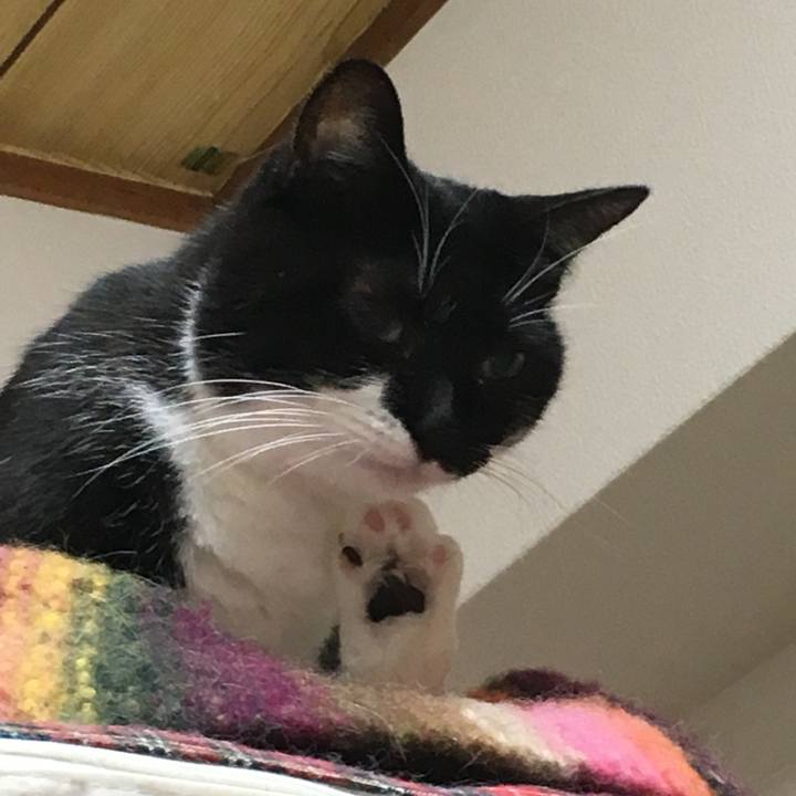 274bc2b0 b16c 4fed a620 f61460b9f269 1509956616834