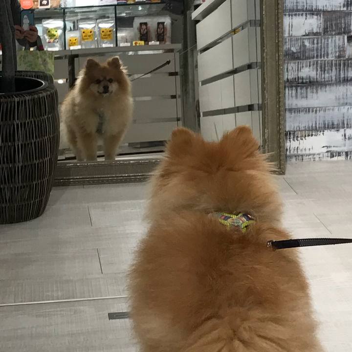 274bd4c2 b76d 4cb4 990a 4ce65d5648db 1541212179975