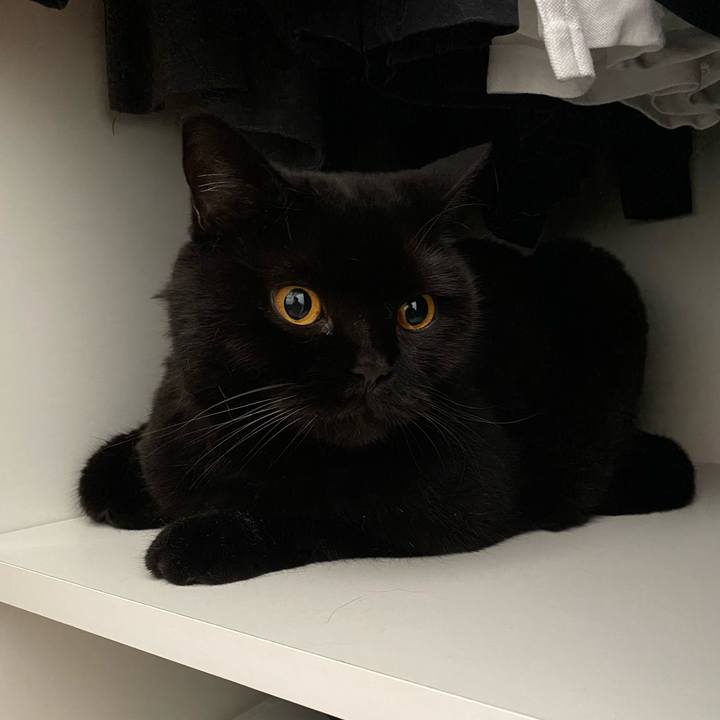 274bf5ae afd5 402a 8ffa 0b349f6e51f0 1719620095101