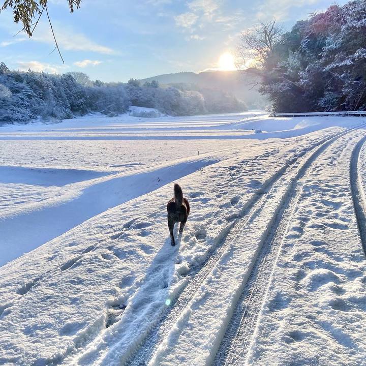 274c08ec 010e 43f7 9424 5b67d634fd44 1675069145376