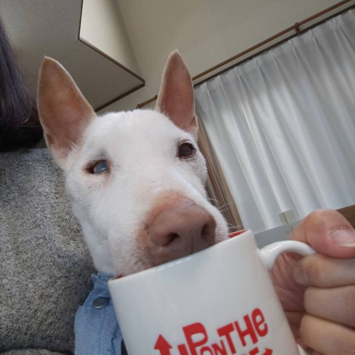 274c0ee0 9aab 46f8 b4c1 243d2110b53a 1586216429822