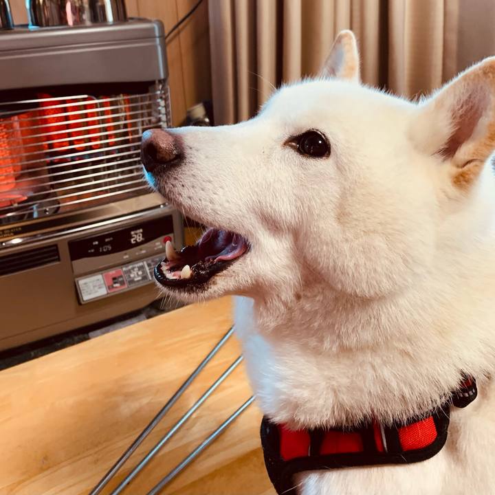 274c2d59 f2fa 413e b7a1 e21693b616d4 1610952114392