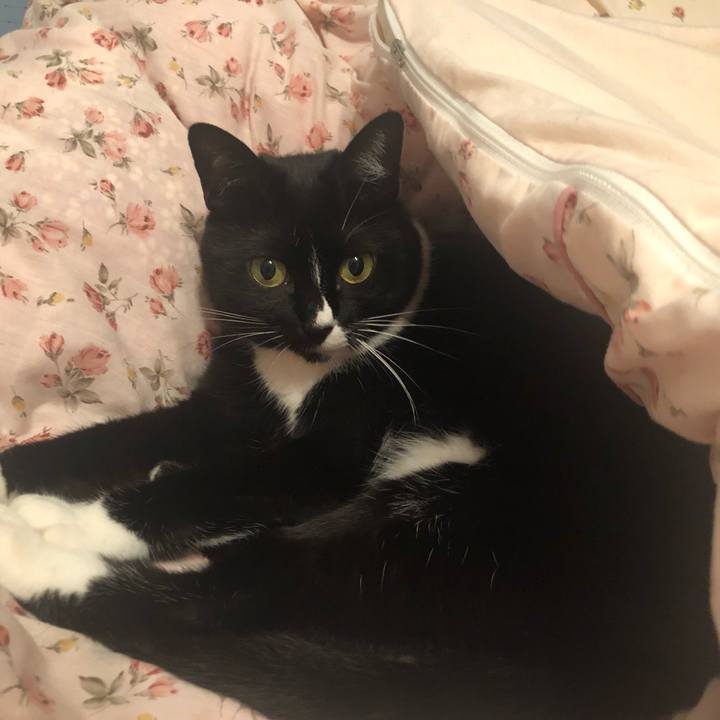 274c69fd d10d 4b7f acc8 19e8f4613755 1559598829101