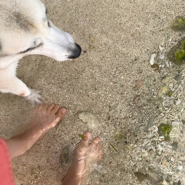 274c725e 952d 410b 80e4 9bd2fd4326cb 1576723639270