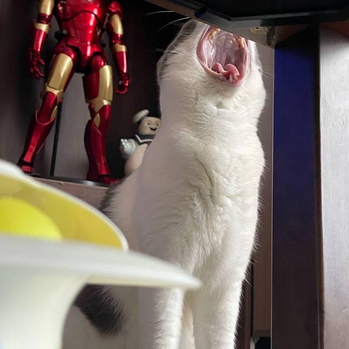 274d0c12 0a78 4eac af6f 80e6a13d7fd7 1659359221800