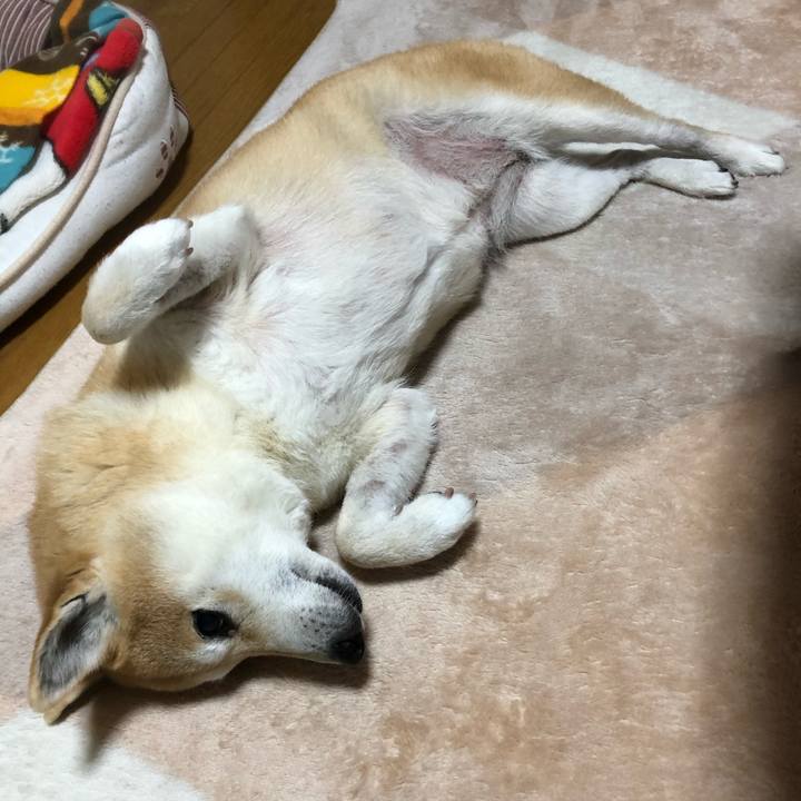 274d1a24 2f8c 4b85 bfce 824ddea92784 1580308598808