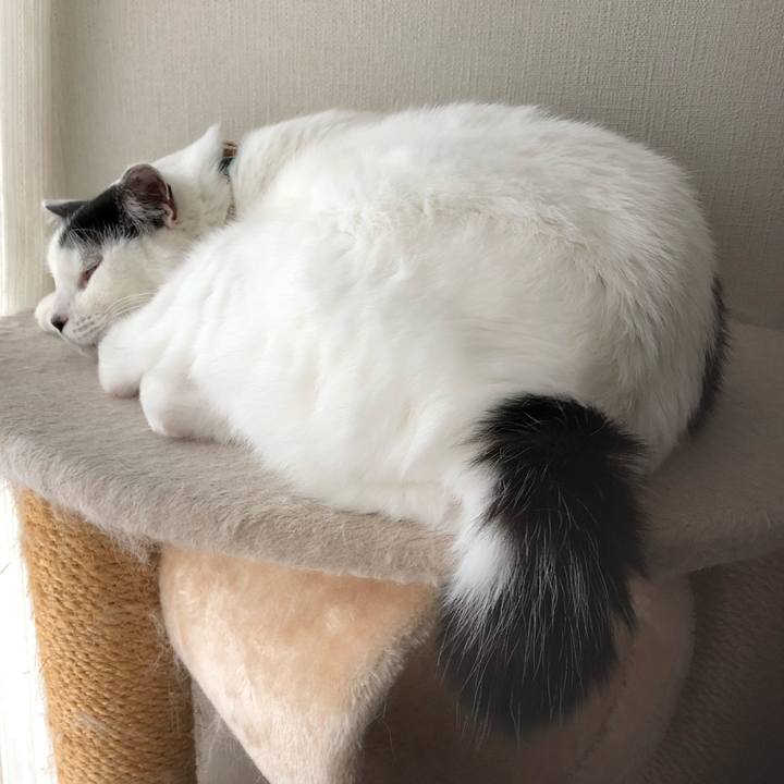 274d2ebc c3f4 49c6 a349 546a7668761e 1539904808369