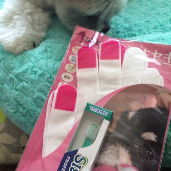 274d3505 1324 4214 9a9b 2a8a061ac806 1543188118265