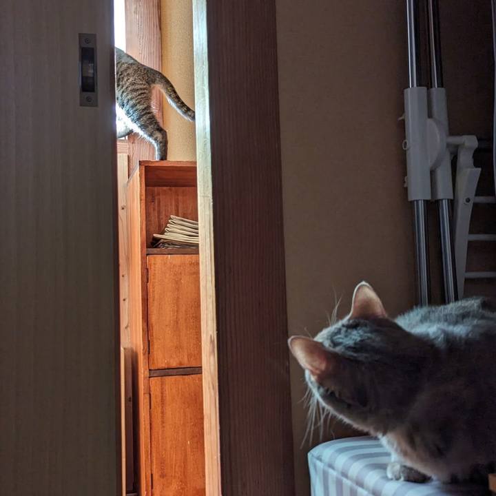 274d81f5 8e92 4513 952d 73883881b8aa 1711683091220