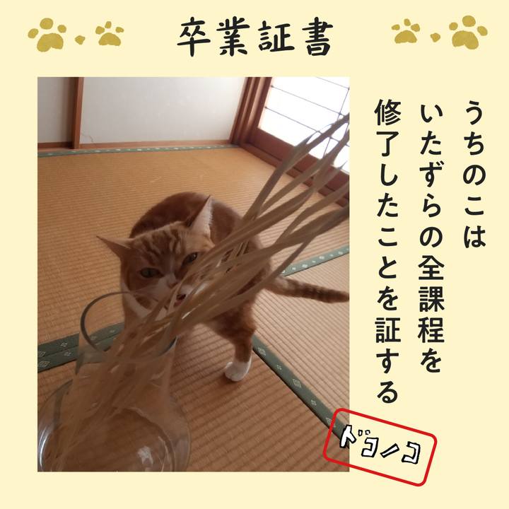 274d9bd5 ac02 4d4d 935b 8151c8f41e37 1772164412280