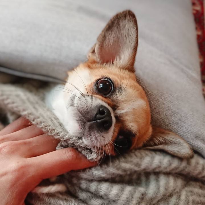 274da935 7270 4c7d 8506 ab113eee28ef 1579506044024