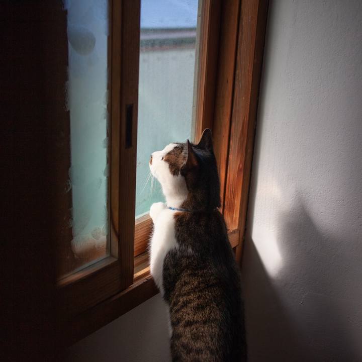 274dc33b 1092 441b a6f4 5934d40c6437 1587190974574