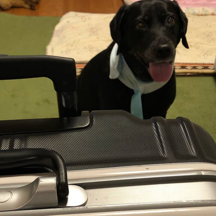 274ddb2d 06c7 488f 966c 3380928d05e7 1531705180086