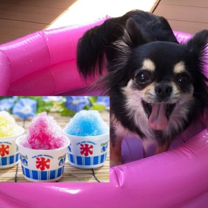 274e0a09 03b0 493d 8526 ecc649b99717 1597712417797