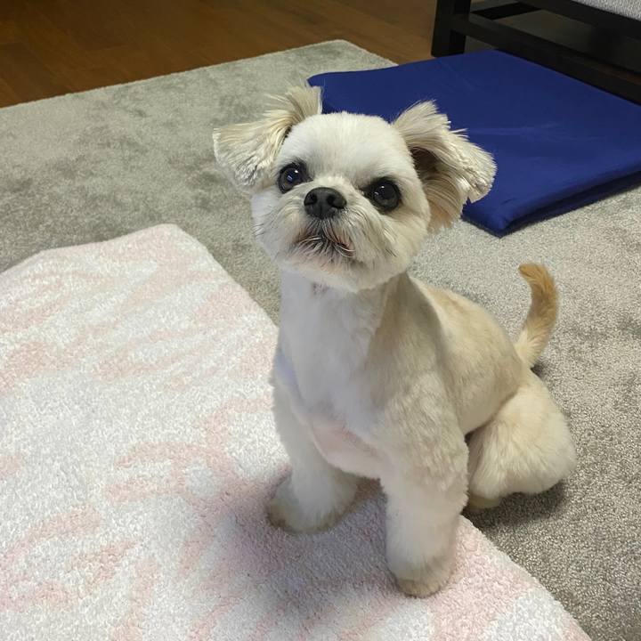 274e169f 032a 4cd5 831a d6cd5c8930e5 1647096952432