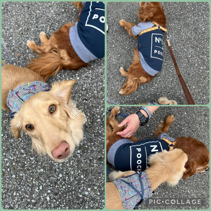 274e3969 6f15 4305 a538 81265599a21d 1731195922529