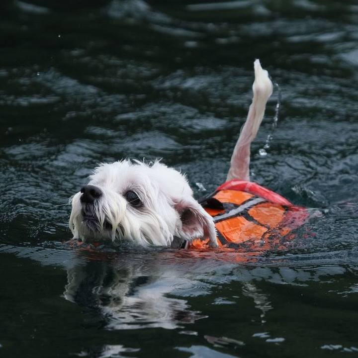 274e56cd 6e44 41c9 8b2c 55325c670956 1691374490704