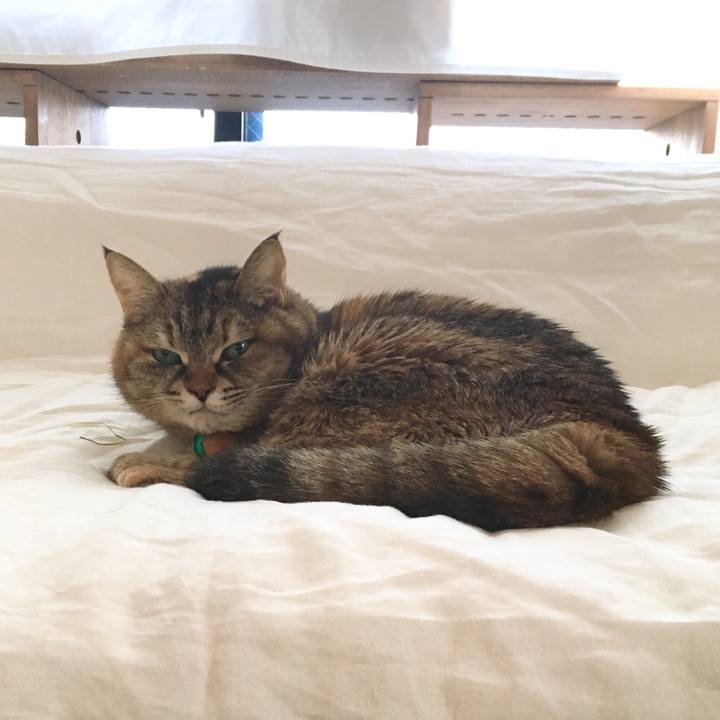 274e6a7e c8d4 48a2 972d caf42fb19301 1512096303412