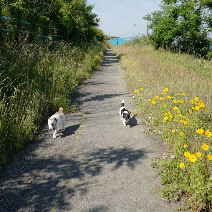 274e8562 ff2b 4185 aa0f 8cfa890f2224 1559446403561