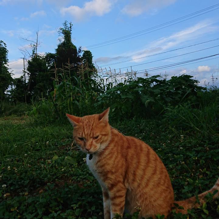 274e9a9b ff79 4bc6 b68b e86810b8de15 1565992198403