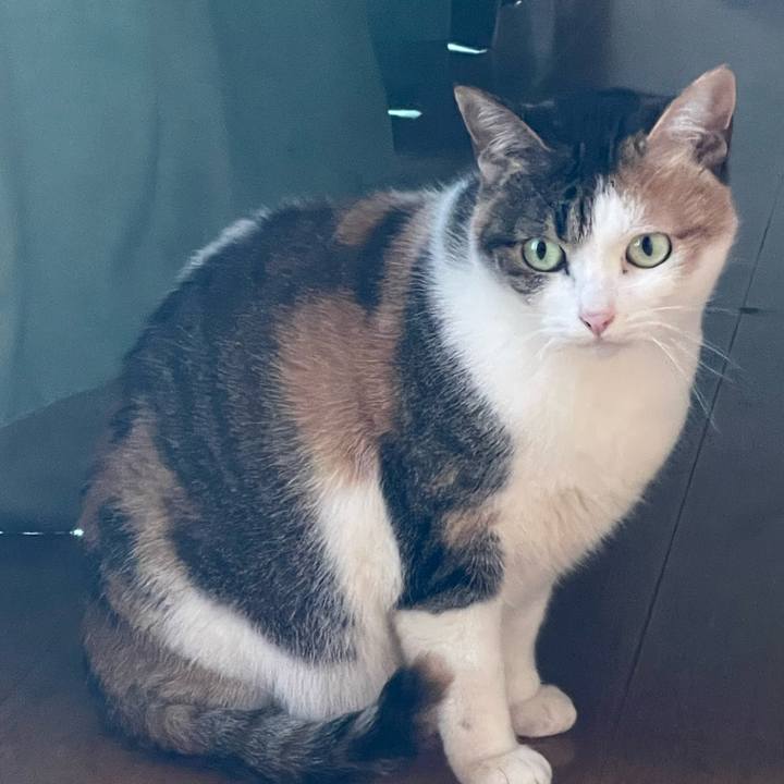 274ef0f1 99c4 49aa bc48 d244aa349751 1676687584399