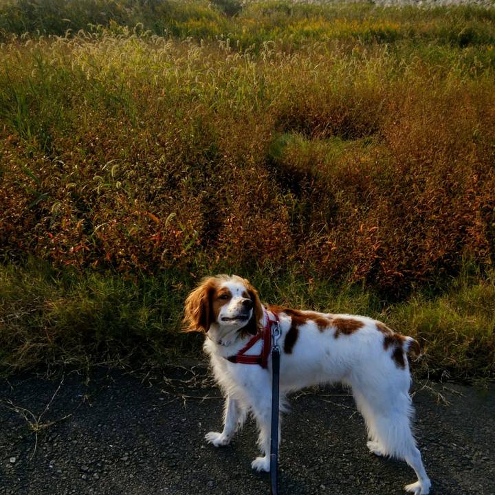 274efc35 74c4 40a0 b0b7 1d34b8f862d9 1540381318559