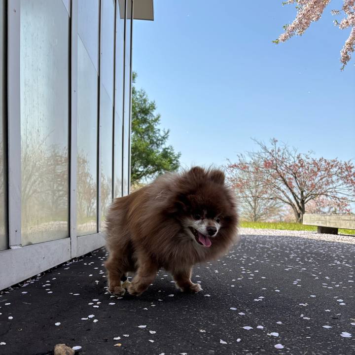 274f1d25 7606 4f33 b063 38fc3d850c1f 1746778231022