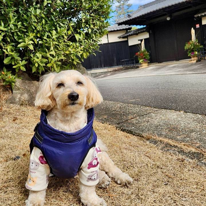 274f222c 5d92 4548 8eb3 51082193c278 1767414137022