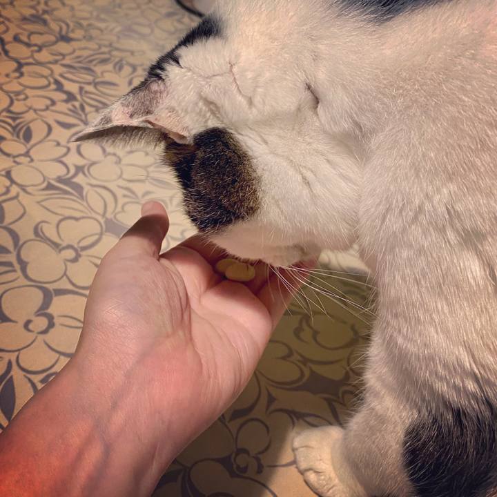 274f233c aad2 48fa 803f 62ca8881820f 1580742600255