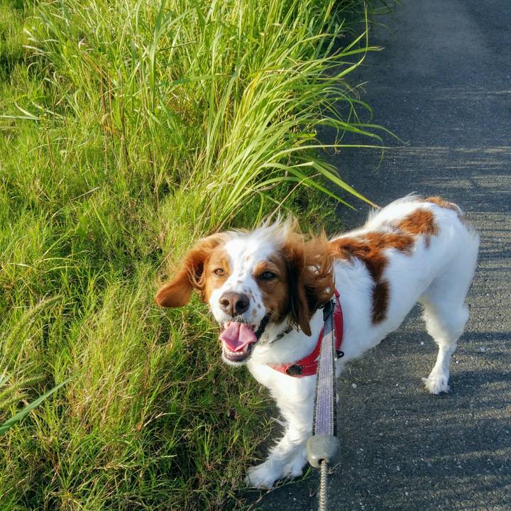 274f236b dab9 456a 9b22 dc5229573f5d 1538392645083