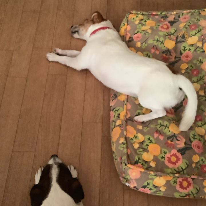 274f405e 8111 4d81 bed5 b622367c6710 1570951773375