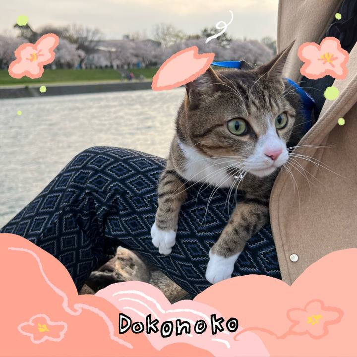 274f4e27 08a0 46a5 bca5 ecc768e97833 1775187060774