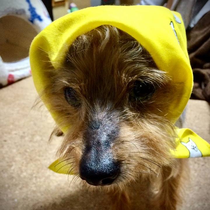 274f7d0f 3a1c 4ec2 a9b9 92c2b9505814 1602314942783