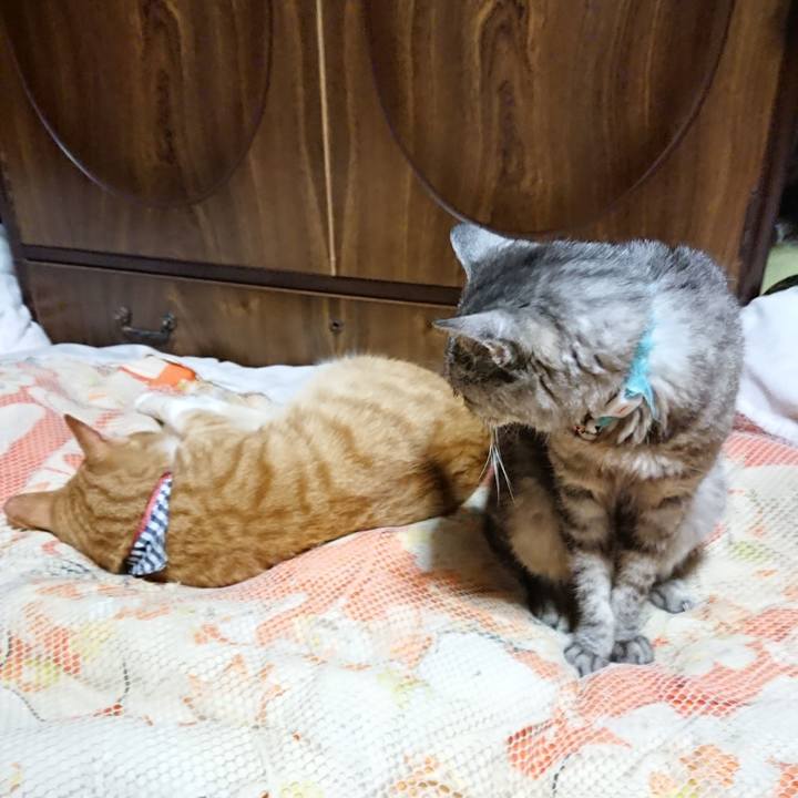 274f88c5 e26f 4135 9717 42e5f9524df4 1569501341628