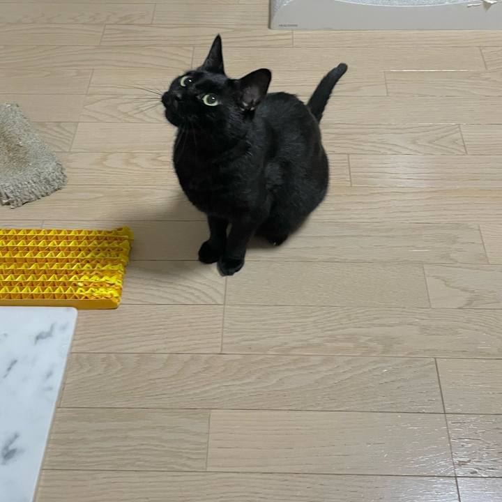 274f9167 b008 44e6 a02b fdc5521ec901 1664548364760