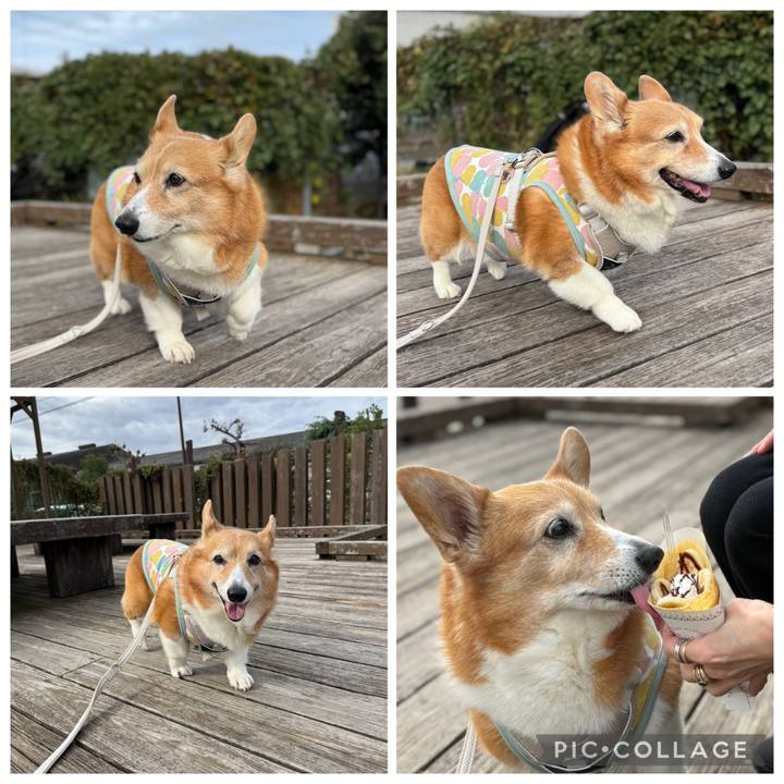 274fa3c6 caf4 4856 8a97 ef9478248bbd 1762823873514